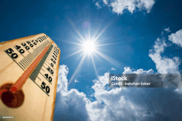 Image 65kmzgi62p.png